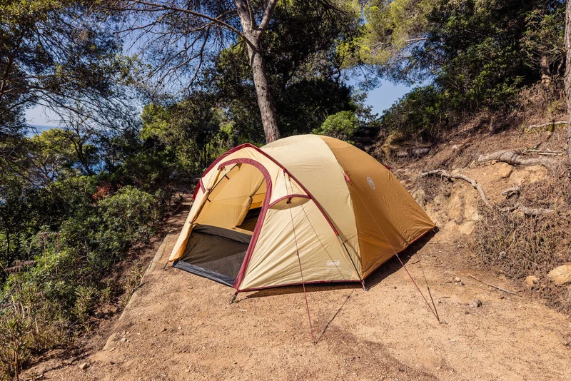 Coleman Darwin 4 Plus Summer | leichtes Kuppelzelt mit Vorraum | 4 Personen