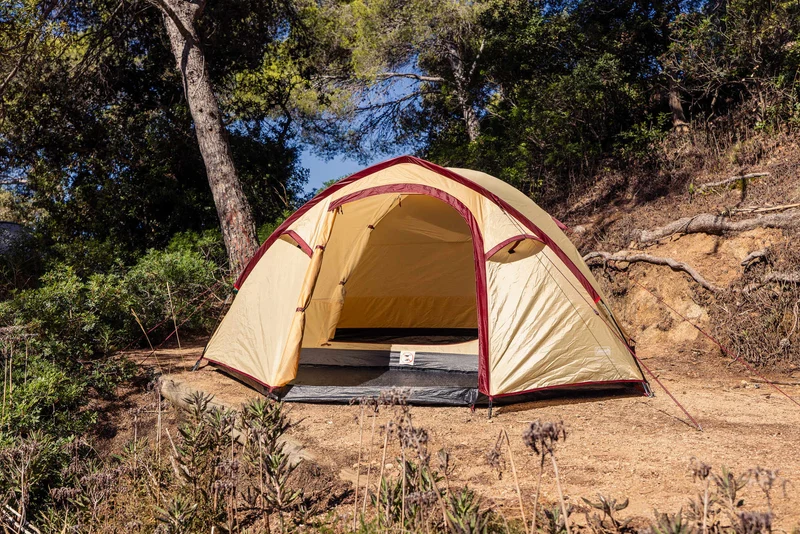 Coleman Darwin 4 Plus Summer | leichtes Kuppelzelt mit Vorraum | 4 Personen