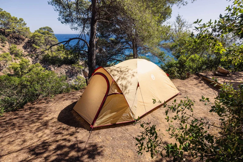 Coleman Darwin 3 Plus Summer | leichtes Kuppelzelt mit Vorraum | 3 Personen