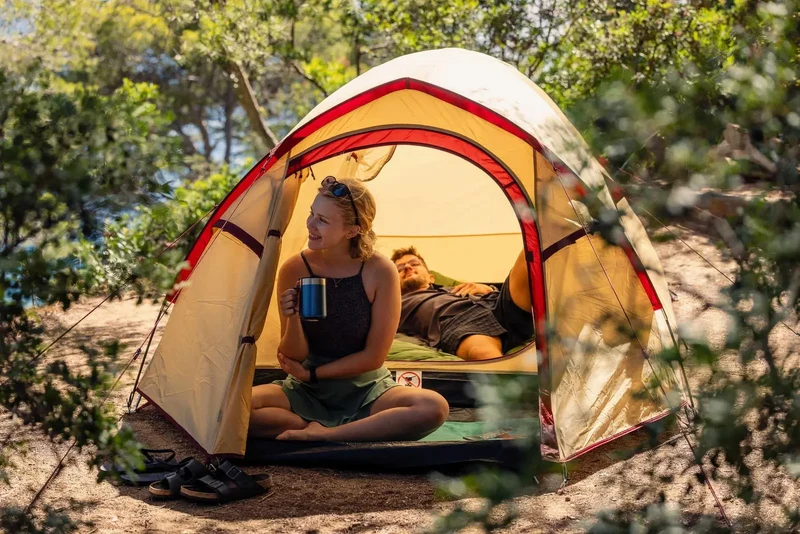 Coleman Darwin 3 Plus Summer | leichtes Kuppelzelt mit Vorraum | 3 Personen