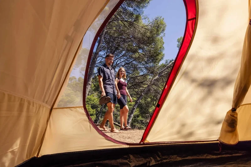 Coleman Darwin 3 Summer | leichtes Kuppelzelt | 3 Personen