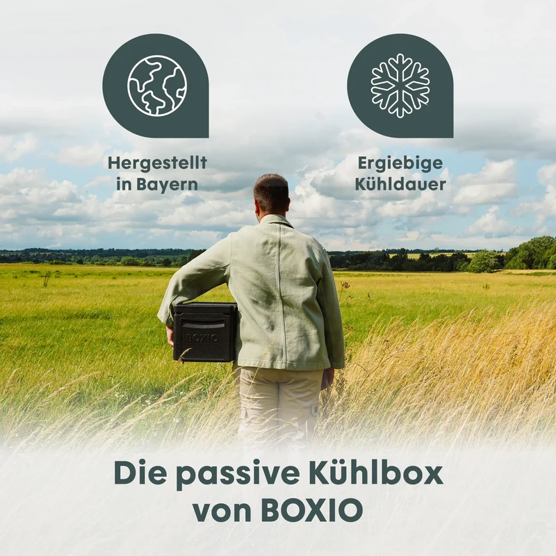 BOXIO COOL Passive Kühlbox ohne Strom