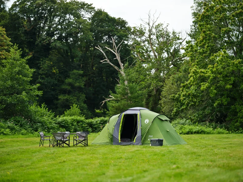 Coleman Spruce Falls 4 Blackout Vis-a-Vis Familienzelt | 4 Personen