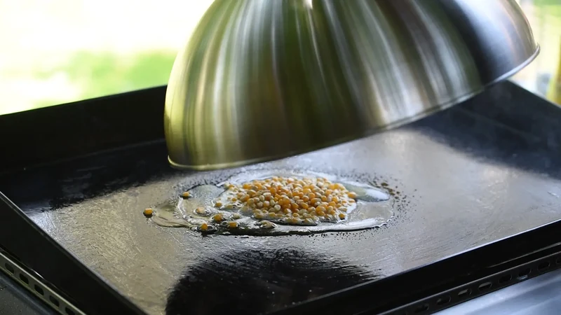 Campingaz Premium Plancha Garhaube Edelstahl