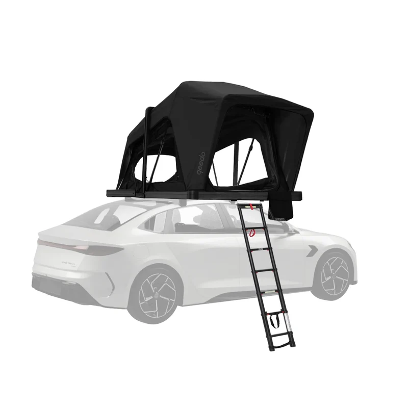 Qeedo Freedom Hybrid 2+