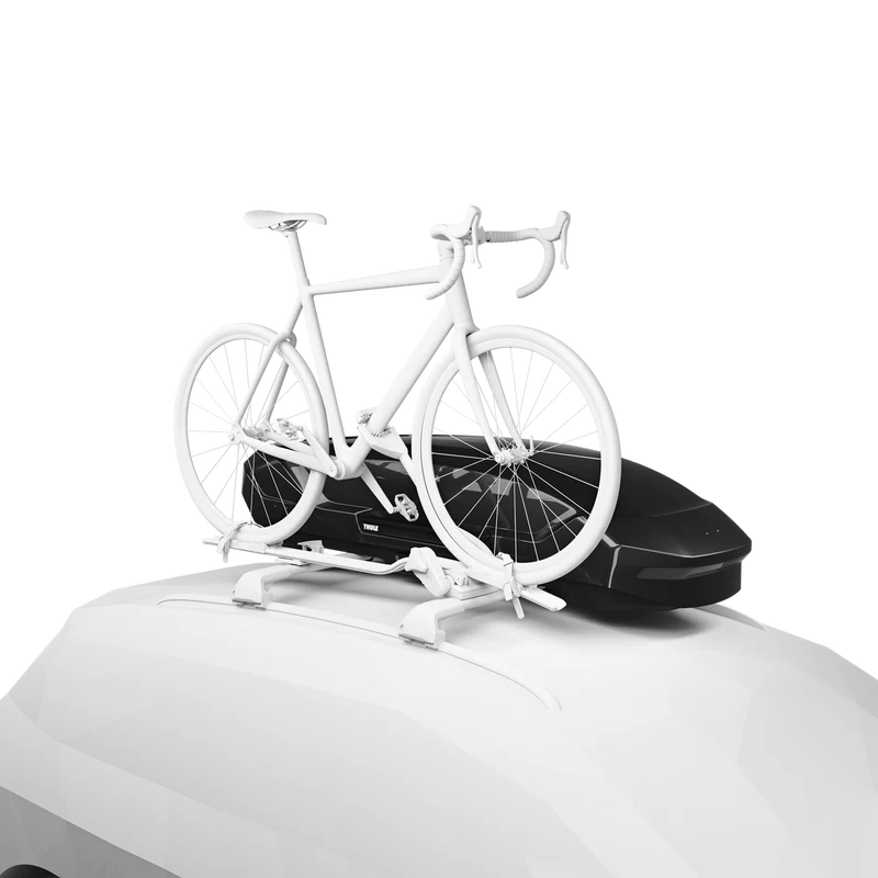 Thule Dachbox Motion 3
