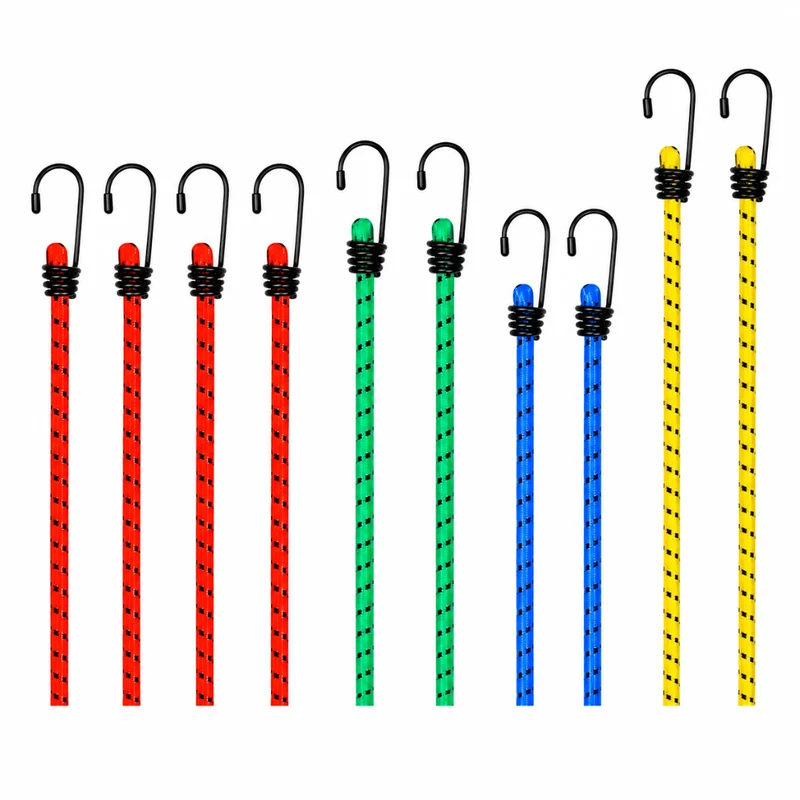 10x Expander mit Haken