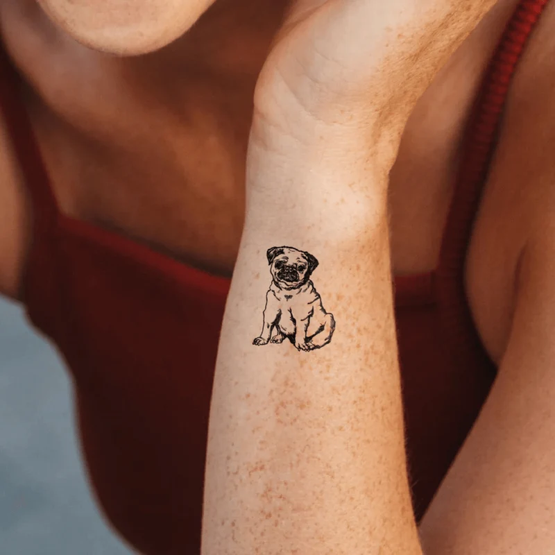 Mops Tattoo Waterless