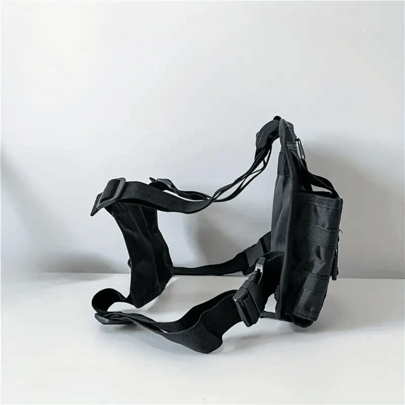Holster #2