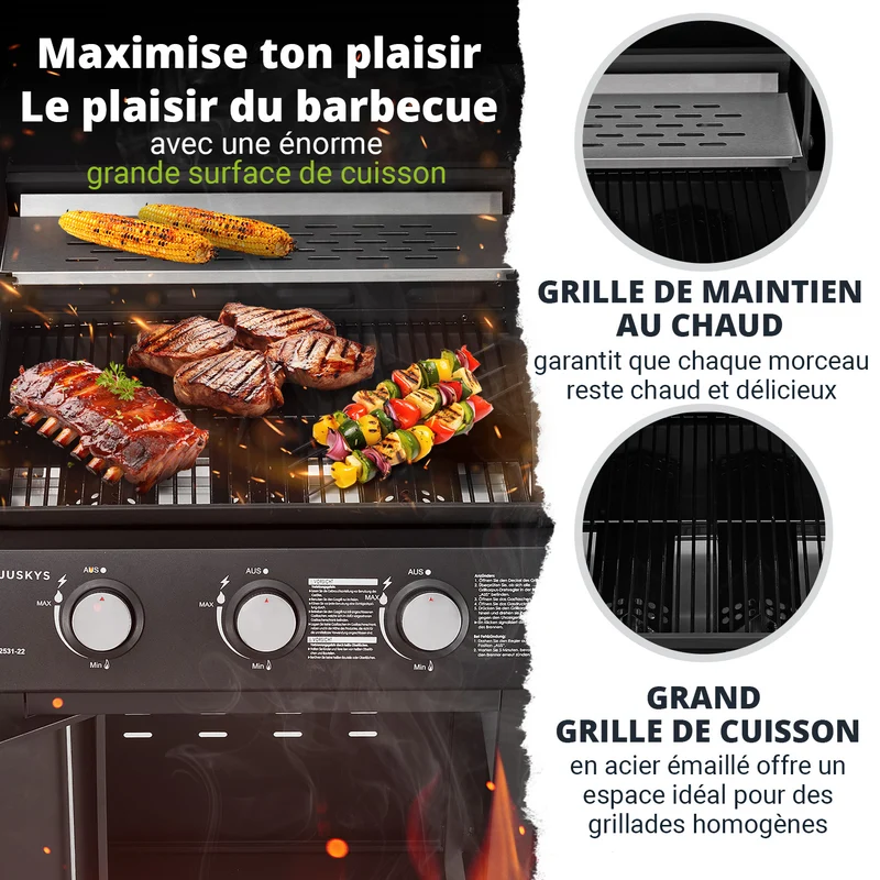 BBQ Gasgrill Louisiana
