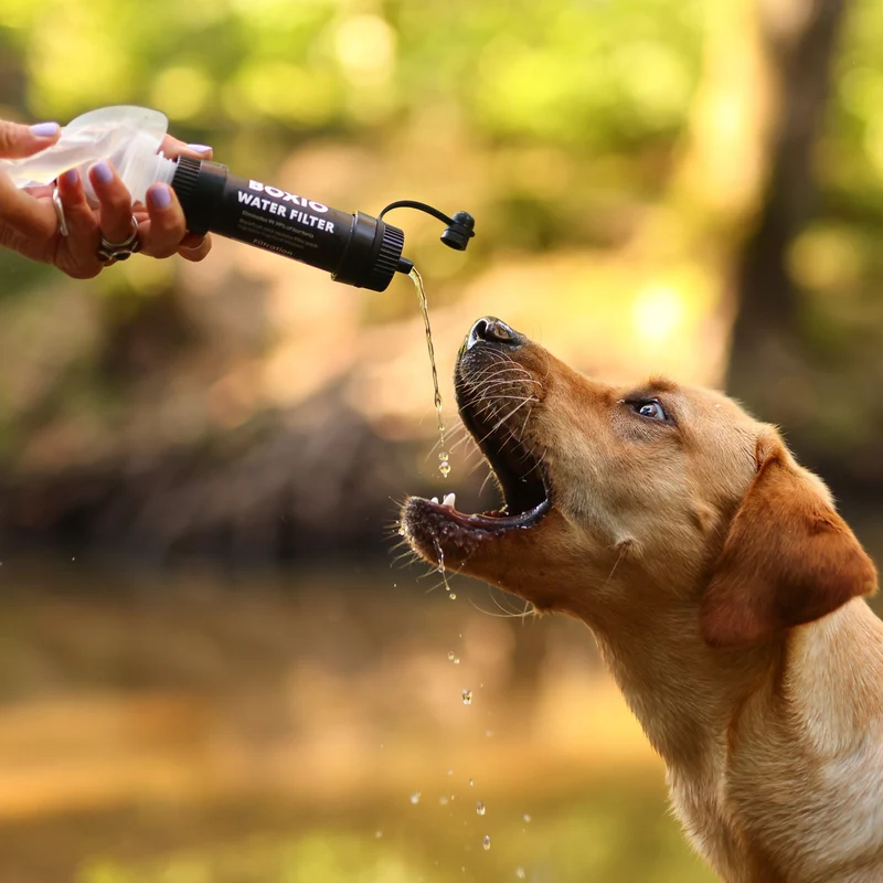 Wasserfilter Outdoor I BOXIO WATER FILTER SYSTEM