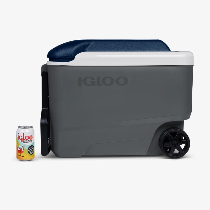 Maxcold Roller Cooler 38L