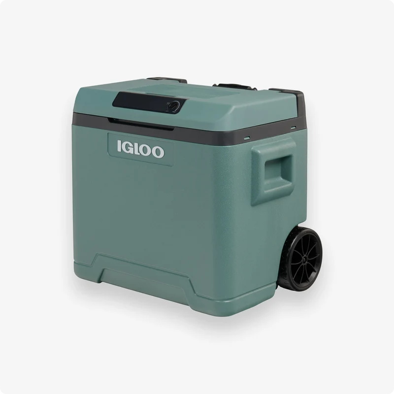 IE42 ACDC Thermoelectric Cooler 42L