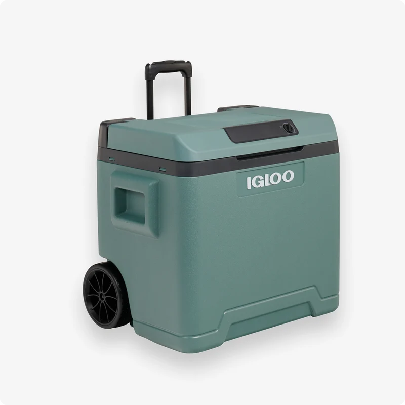 IE42 ACDC Thermoelectric Cooler 42L