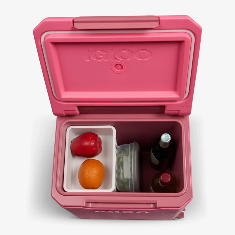 Tag Along Too 360 Spinner Cooler 19L