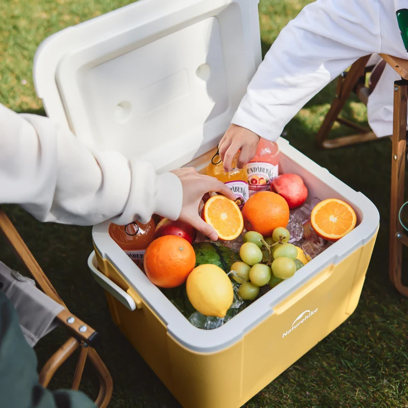 Whale™ Insulated Cooler Box