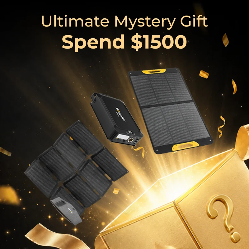 [Free] Mystery Gift for order over $1500