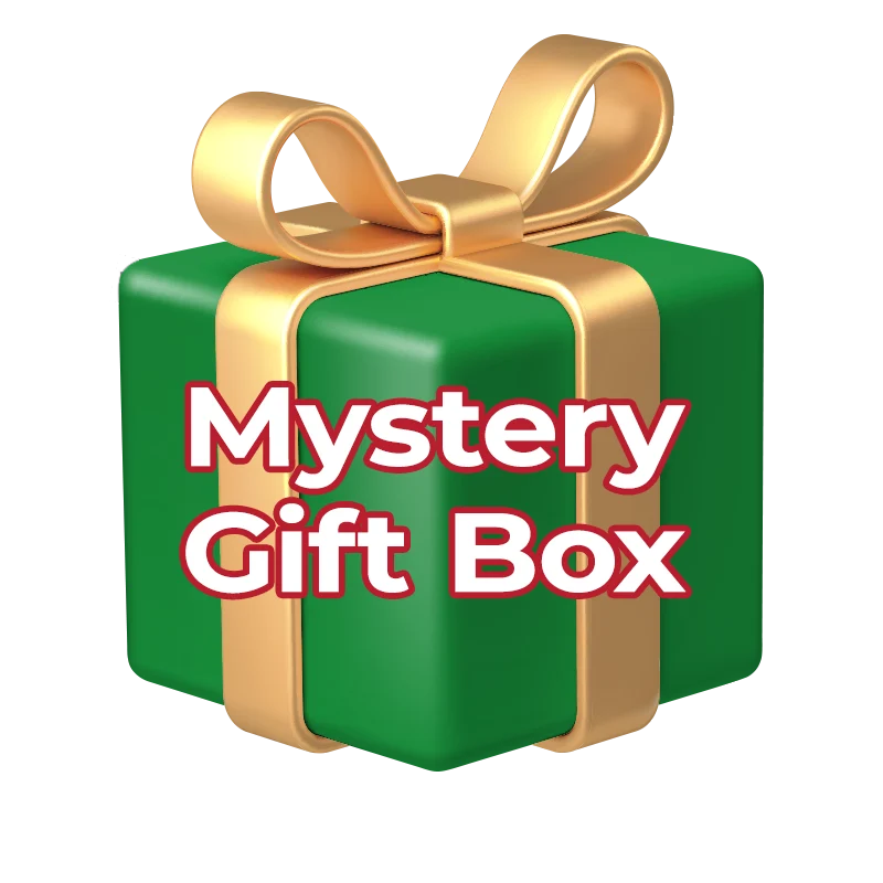 BougeRV Mystery Basic Solar Gift Box