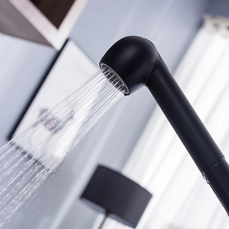 Ausziehbarer Wasserhahn mit Duschfunktion