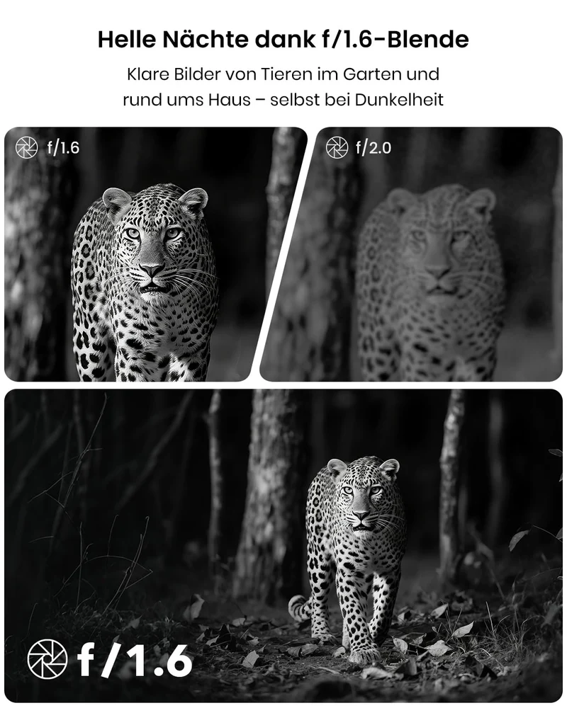 Misstech Solar-Wildkamera 4K 64MP mit Handyübertragung und Nachtsicht