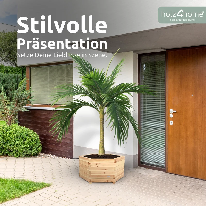 holz4home Pflanzkübel XL aus Tannenholz, sechseckiger Blumenkübel