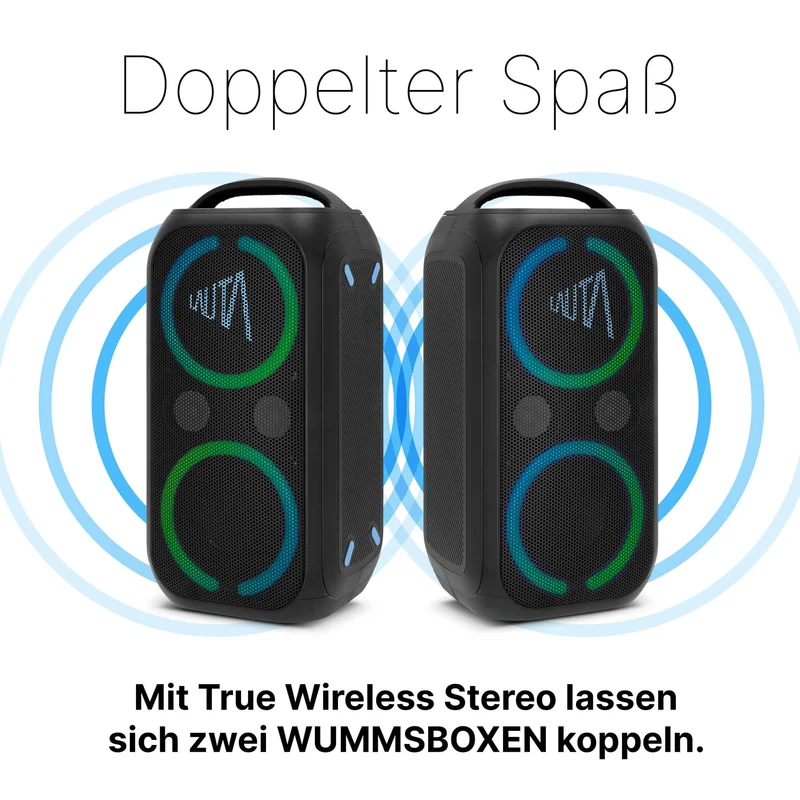TechniSat LAUTA WUMMSBOX Bluetooth Partybox mit LED-Lichtshow