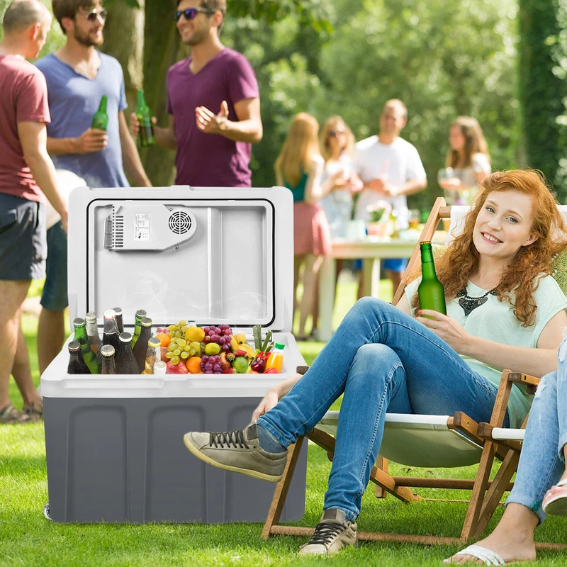 UISEBRT Elektrische Kühlbox 48 Liter mit Rollen, 12 V/220 V, grau