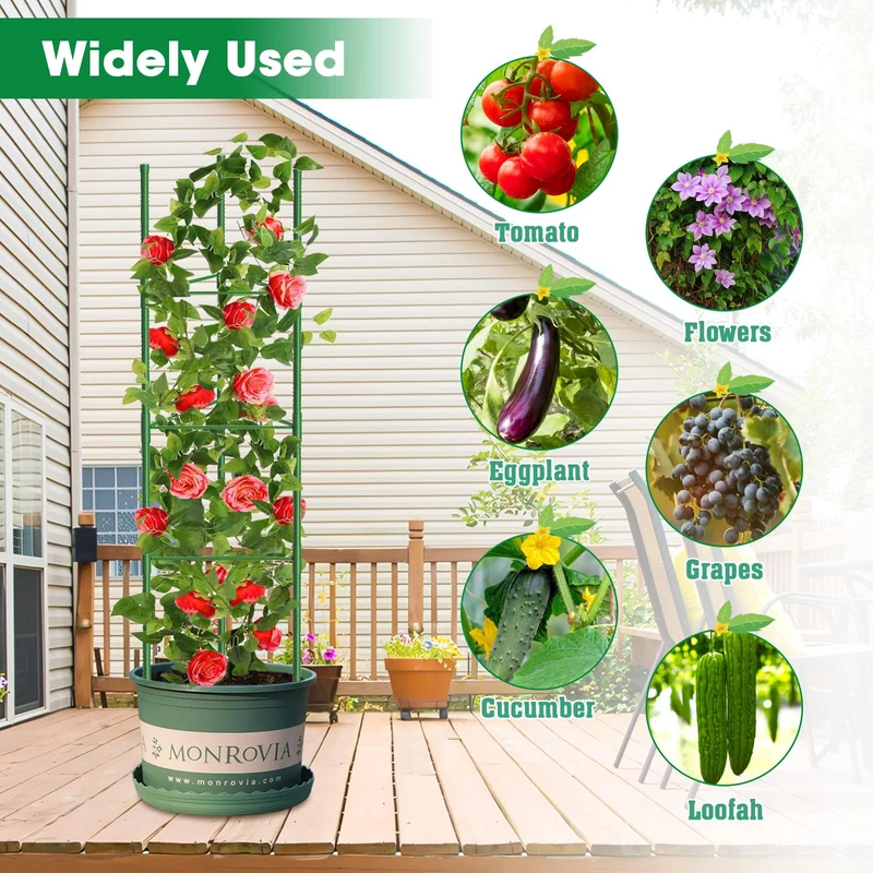 MQUPIN Tomaten Rankhilfe 130 cm Metall, 6 Stück, höhenverstellbar