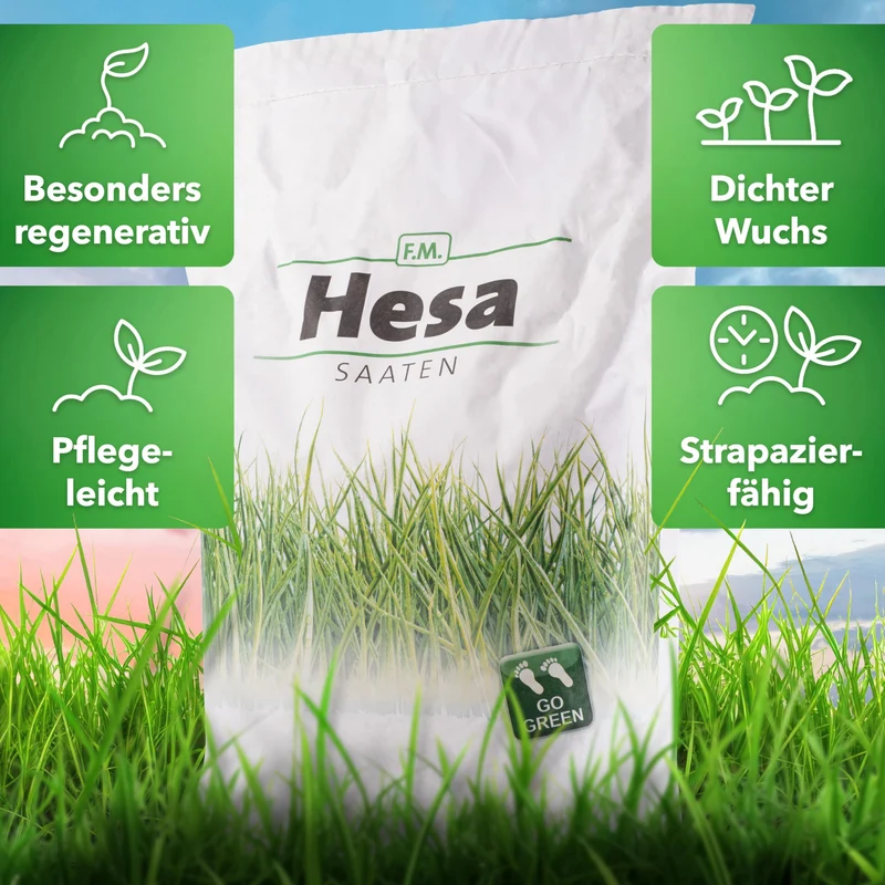 Hesa Gebrauchsrasen RSM 2.3 Rasensamen 5 kg für 200 m²