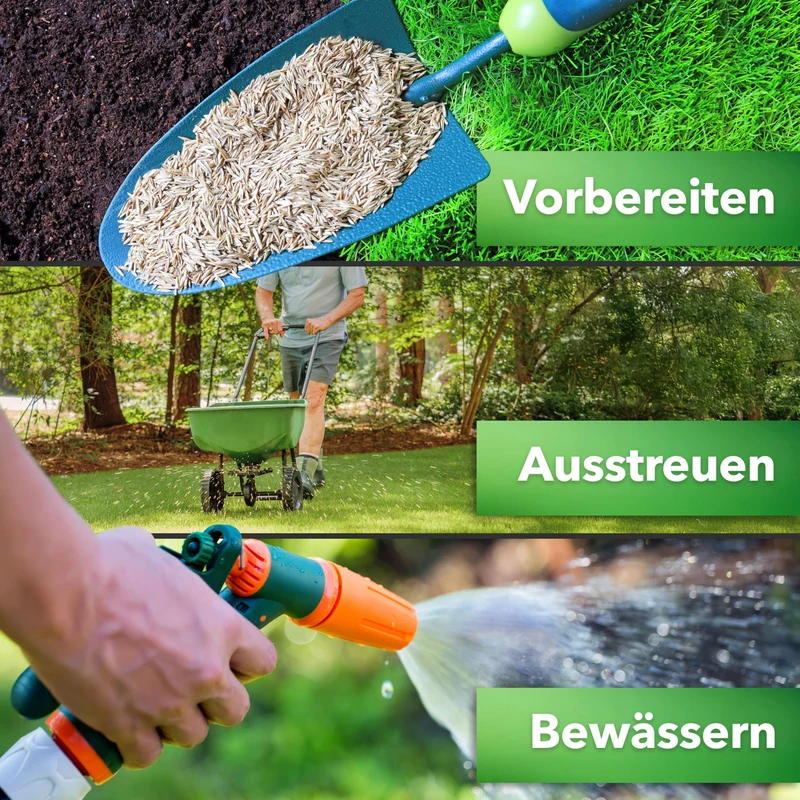 Hesa Gebrauchsrasen RSM 2.3 Rasensamen 5 kg für 200 m²