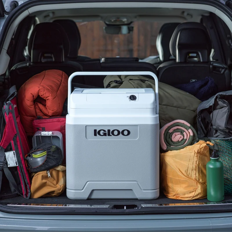 Igloo IE27 elektrische Kühlbox 27 L, 12V/230V, Grau