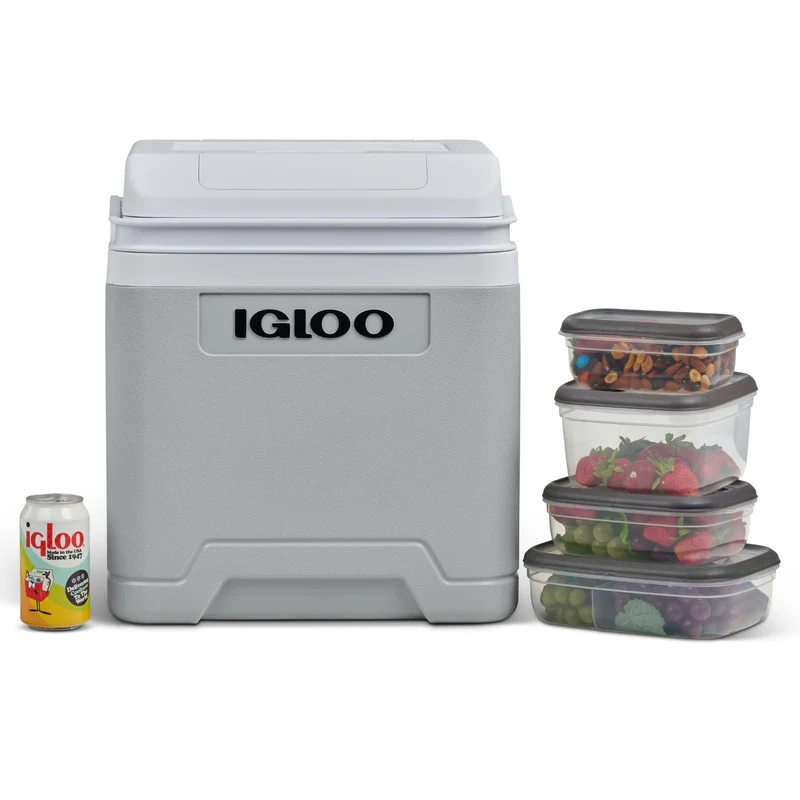 Igloo IE27 elektrische Kühlbox 27 L, 12V/230V, Grau