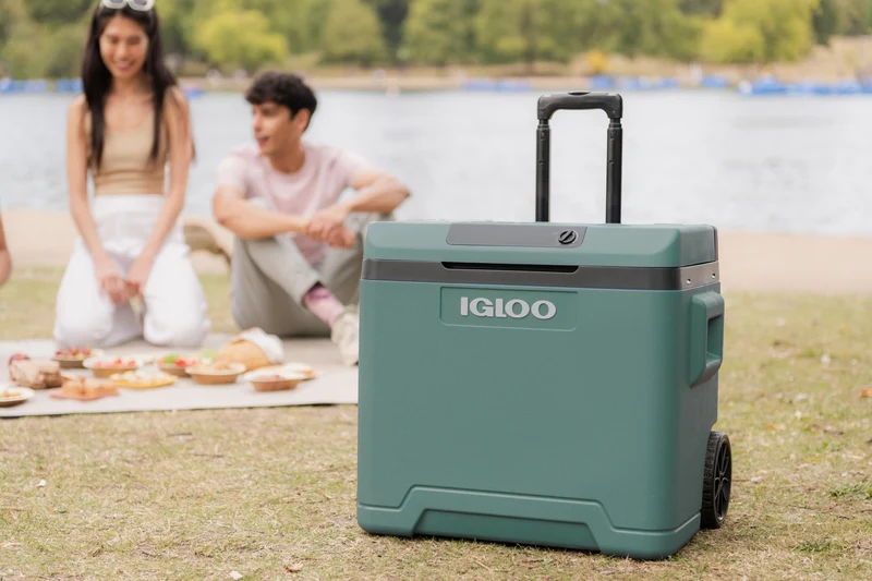 Igloo IE42 Elektrische Kühlbox 42 L, 12V/230V, Rollen & Teleskopgriff