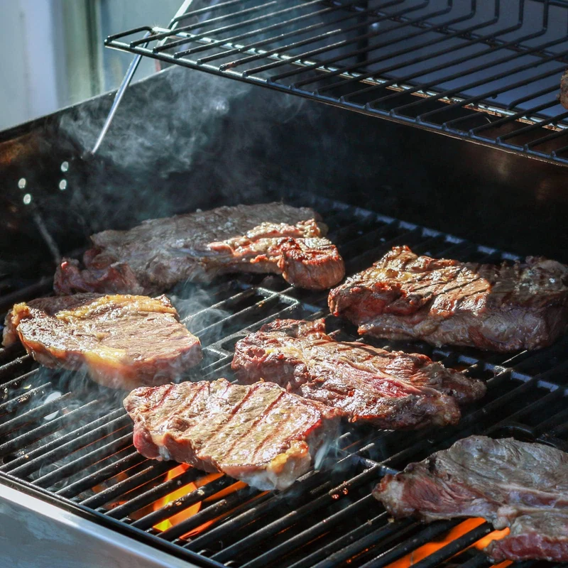 MGiessca Gusseisen Grillrost Ersatz für Enders Boston 3, Monroe Pro 3
