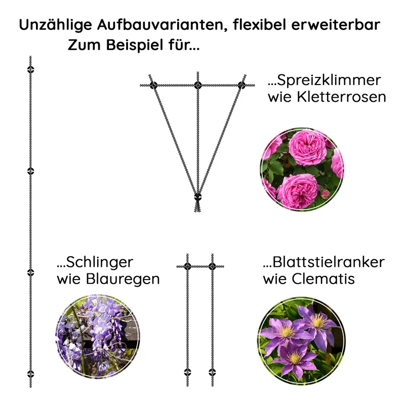 GARDELI Rankhilfe aus Edelstahl, Set mit 8 Wandhaltern, 12,5 m Seil