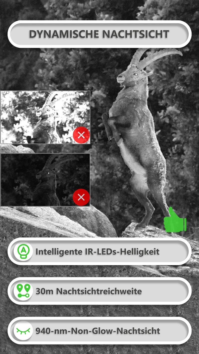 GardePro E8P Max Wildkamera mit WLAN, 64 MP, 1296P und Akku