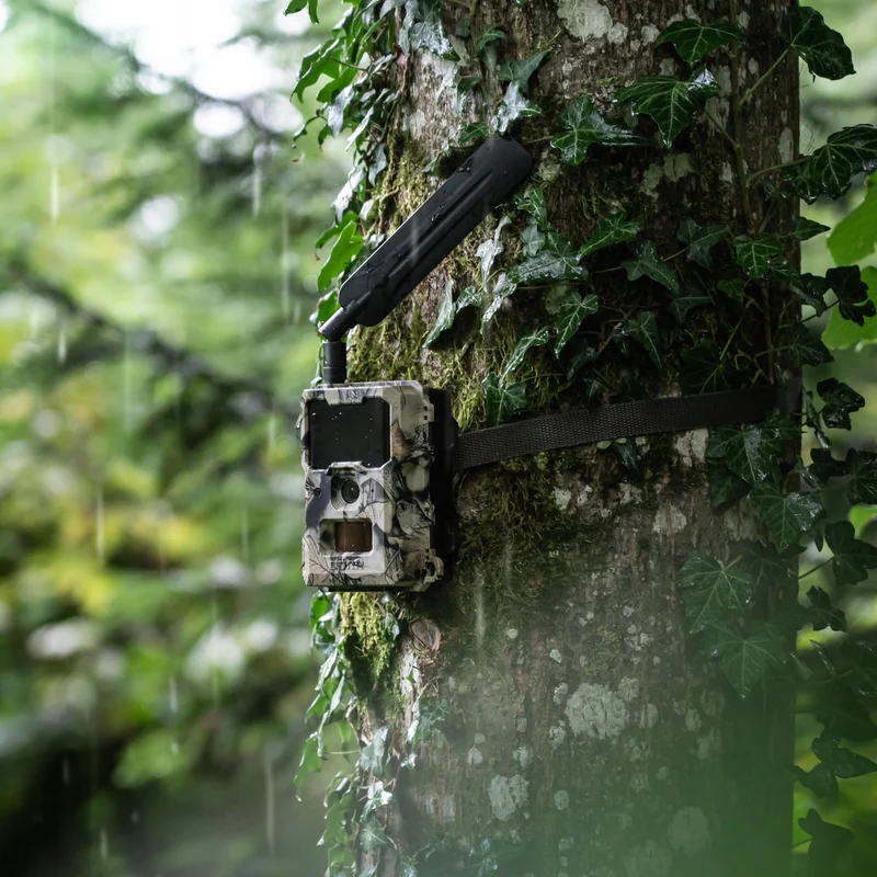 DÖRR Cloud Mini 4G/LTE Wildkamera, 12 MP, Full HD, Infrarotblitz