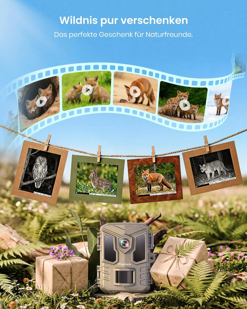 Misstech Wildkamera 4K 64MP mit Solarpanel und App, SV-TCKW