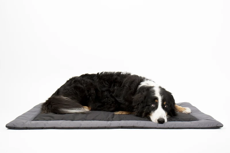 Outdoor-Decke für Hunde ABBY