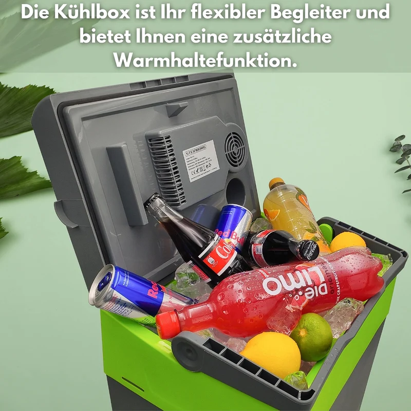 Steinborg Kühlbox elektrisch 30 Liter mit Warmhaltefunktion 12V/230V