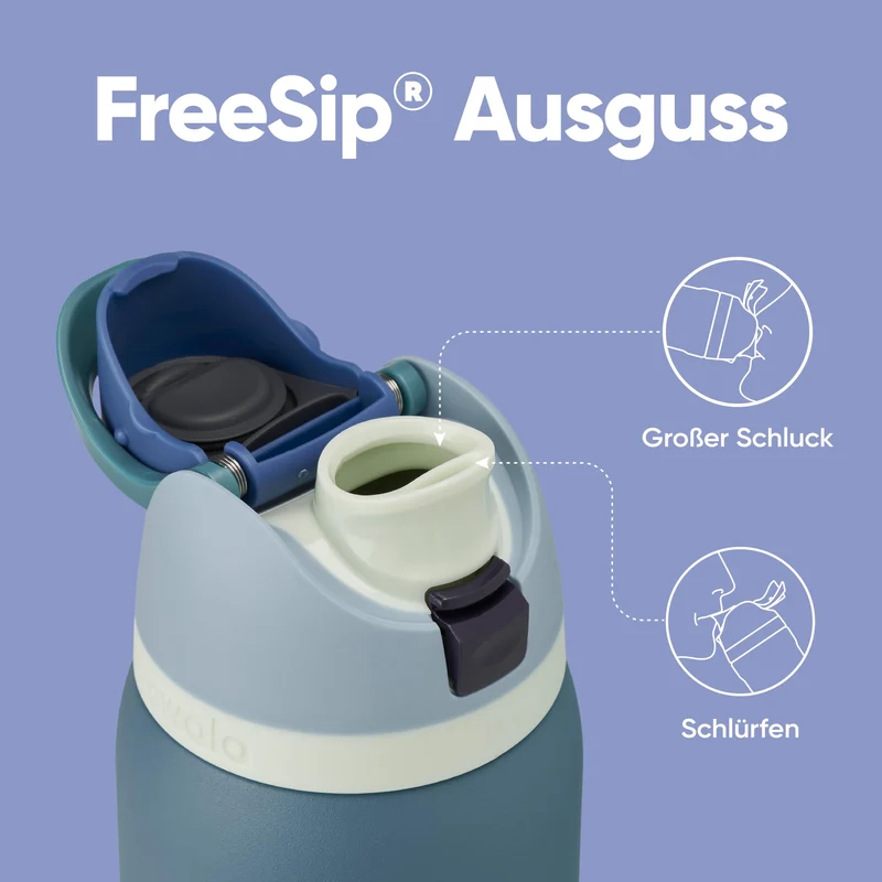 Owala FreeSip Isolierflasche Edelstahl 945 ml mit Strohhalm, Denim