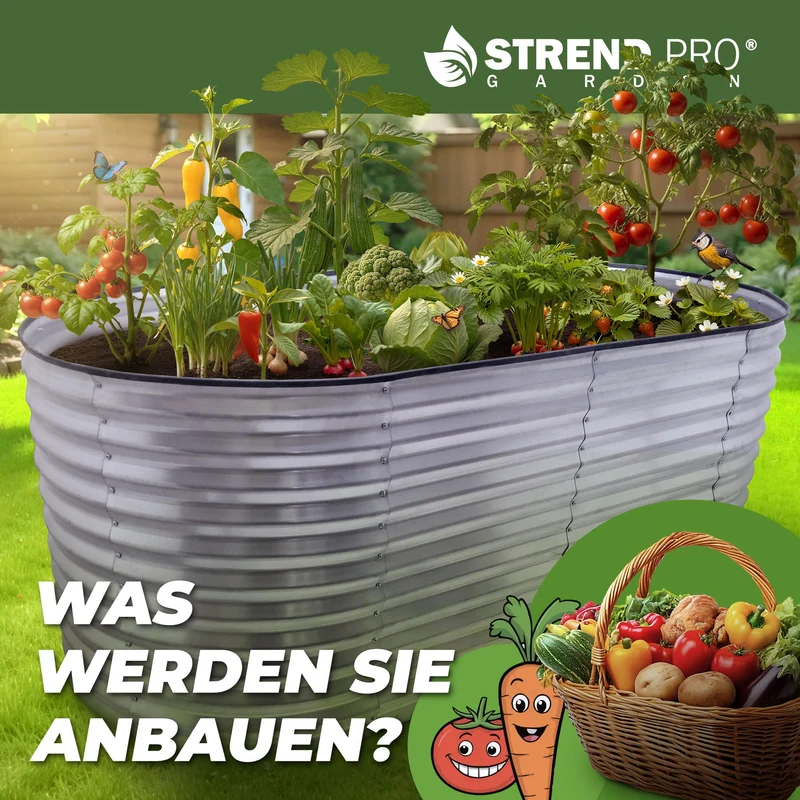 STREND PRO Hochbeet Metall 200x100x80 cm aus verzinktem Stahl