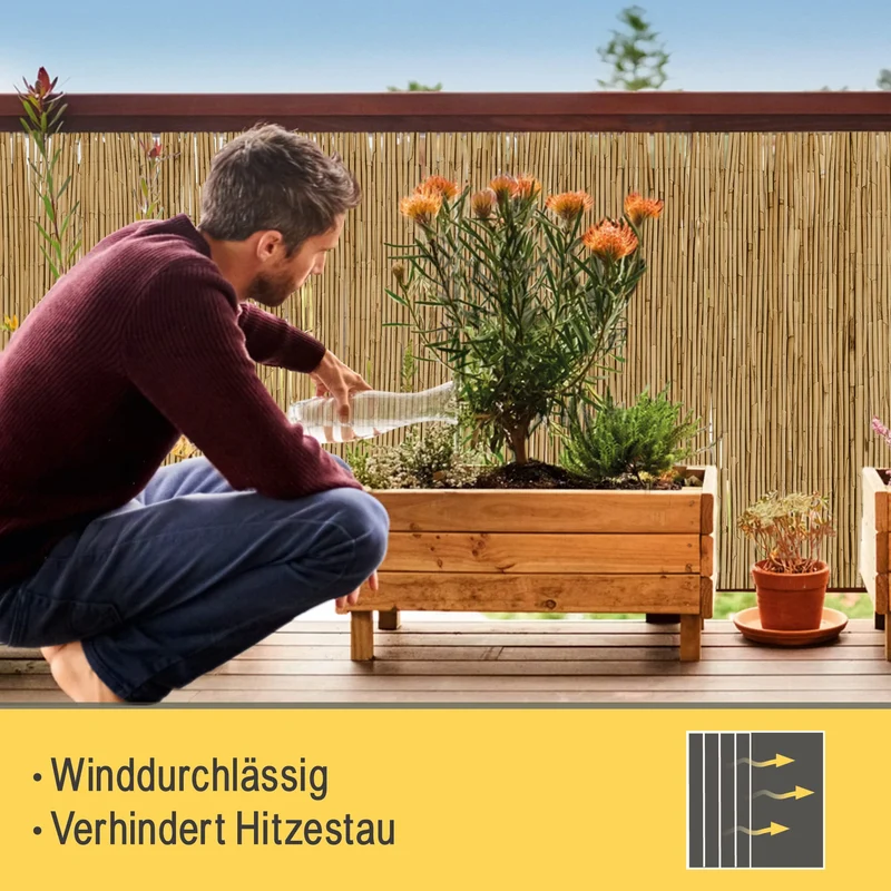 Sol Royal SolVision S36 Schilfmatte Sichtschutzzaun 100x600 cm