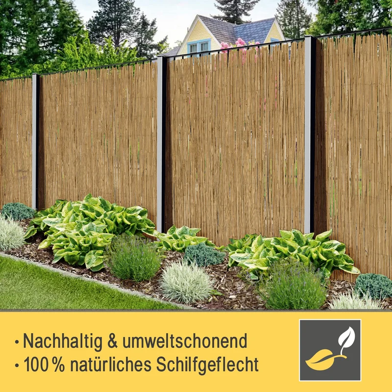 Sol Royal SolVision S36 Schilfmatte Sichtschutz 160x600 cm