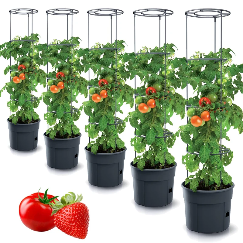 Tymar Tomatentopf mit Rankhilfe und Wasserspeicher, 5er-Set, 40 cm