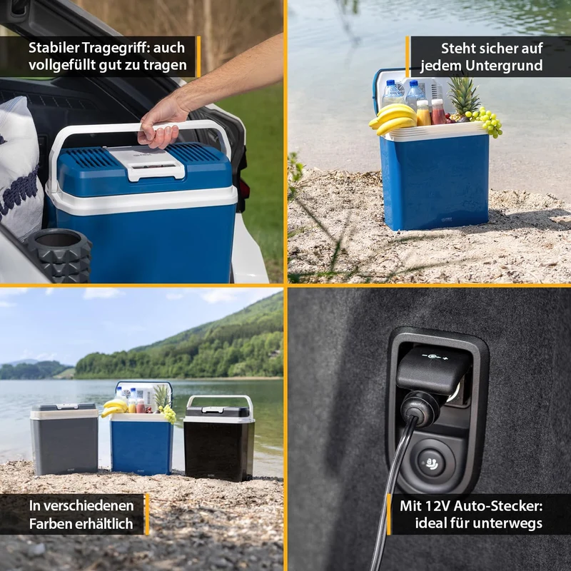 TZS First Austria Kühlbox 24L 12V/230V Kühl- & Warmhaltebox Blau