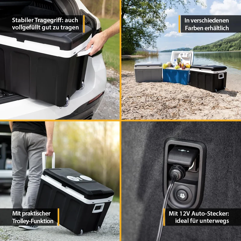 TZS First Austria Kühlbox 45L thermoelektrisch, 12V/230V, schwarz