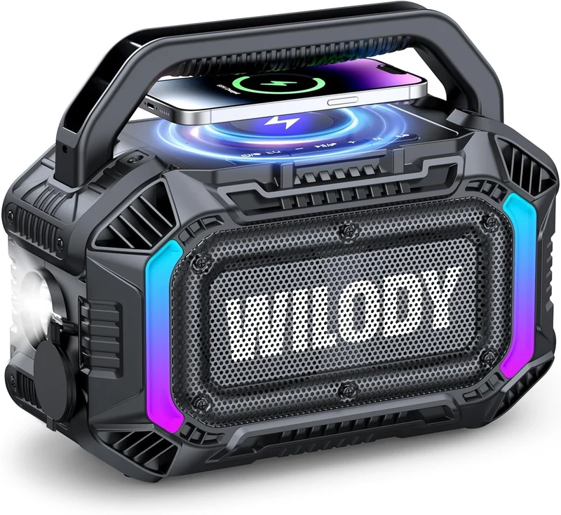 Wilody 100W Bluetooth Lautsprecher tragbar, IPX7 wasserdicht, Schwarz
