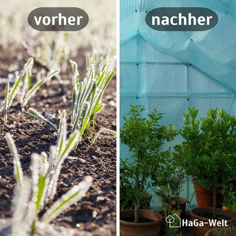 HaGa Isolierfolie Gewächshaus Winterschutz – Noppenfolie 1.5m x 20m