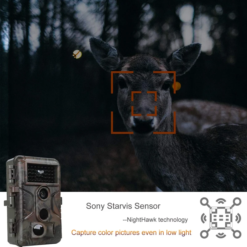Wildkamera A323 64MP 1296P – Nachsichtkamera IP66